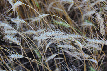 Similar image 837014