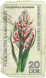 Similar image 837017