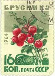 Similar image 837024