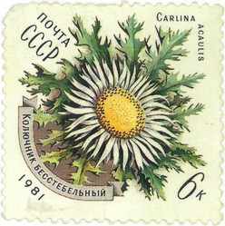 Similar image 837030