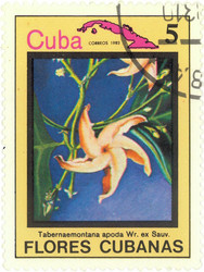 Similar image 837031