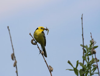 Similar image 837048