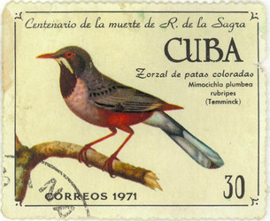 Similar image 837057