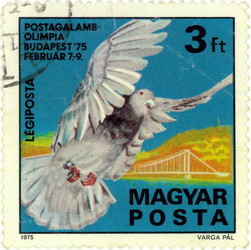 Similar image 837066