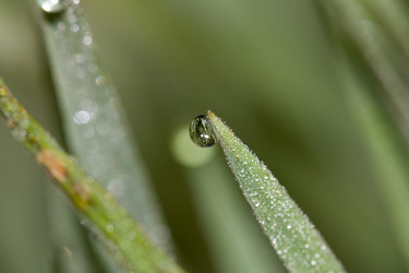 Similar image 837071