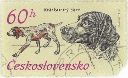 Similar image 837088