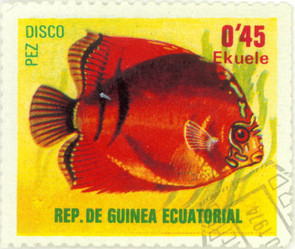 Similar image 837098