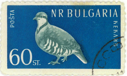 Similar image 837112