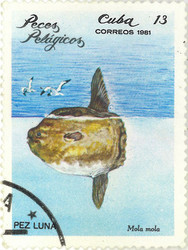 Similar image 837129