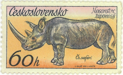 Similar image 837131