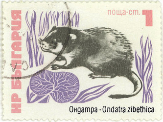 Similar image 837132