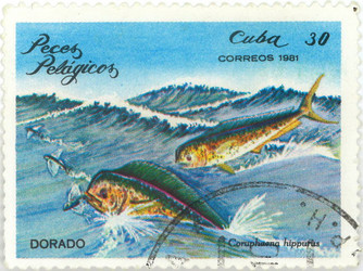 Similar image 837141