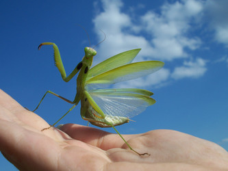 Similar image 837152