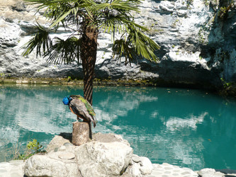 Similar image 837177