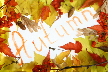 Similar image 837277