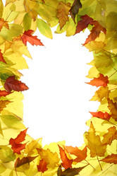 Similar image 837279