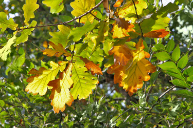 Similar image 837281