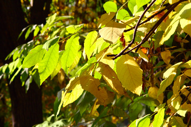 Similar image 837282