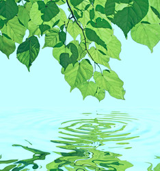 Similar image 837285