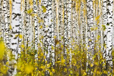 Similar image 837290