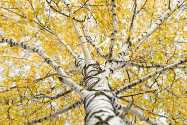 Similar image 837291