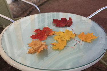 Similar image 837298