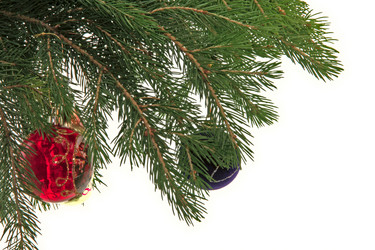 Similar image 837302