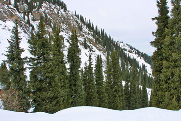 Similar image 837312