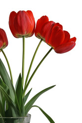 Similar image 837321