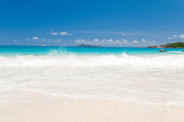 Similar image 837324