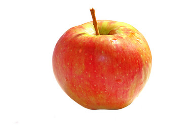 Similar image 837327