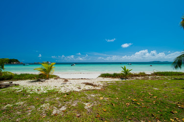 Similar image 837328