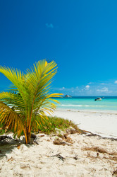 Similar image 837330