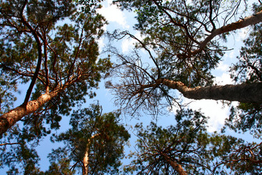 Similar image 837339