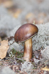 Similar image 837345