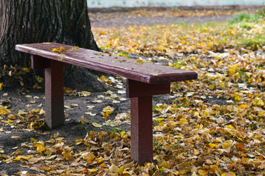 Similar image 837365