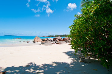 Similar image 837369