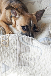 Similar image 837371