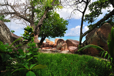 Similar image 837373