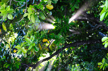 Similar image 837376