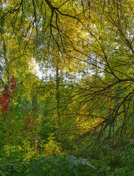 Similar image 837377