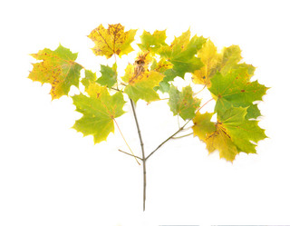 Similar image 837398