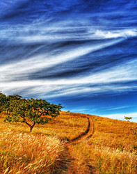 Similar image 837405