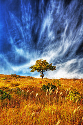 Similar image 837407