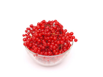 Similar image 837432