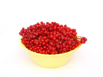 Similar image 837433