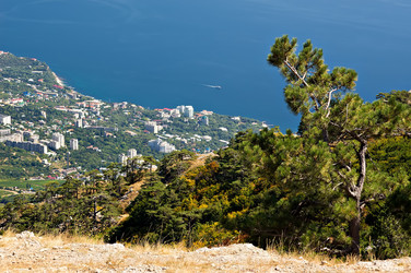 Similar image 837485