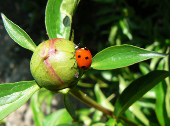 Similar image 837495