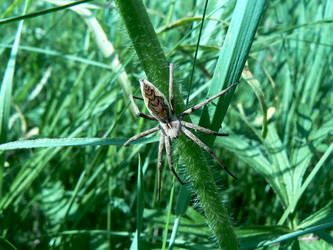 Similar image 837496