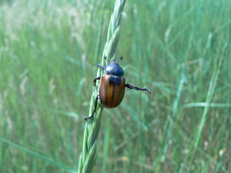 Similar image 837497